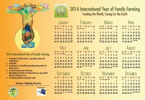 iyff 2014 calendar