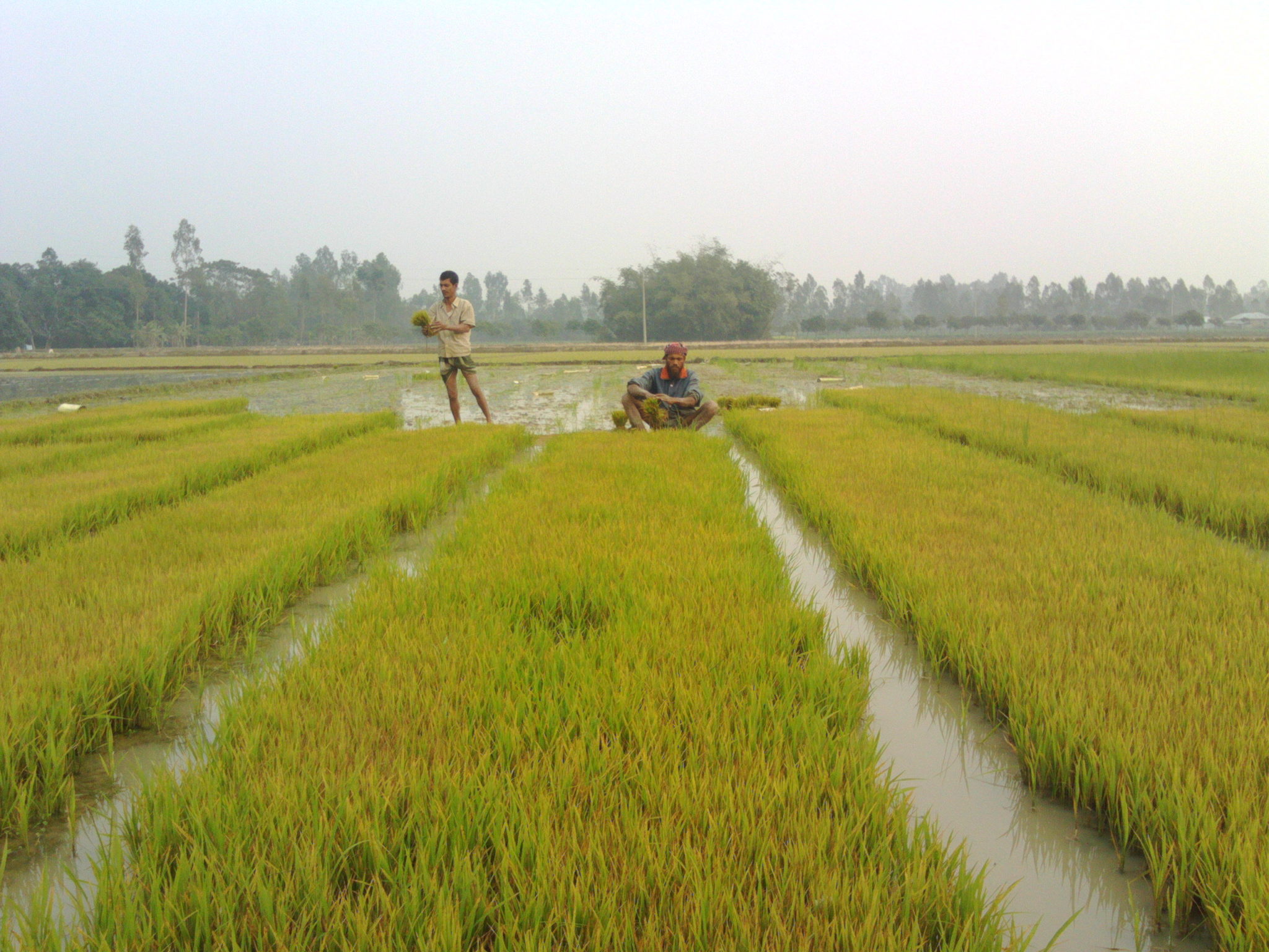 Hundreds of millions of family farmers in Asia-Pacific need help to ...