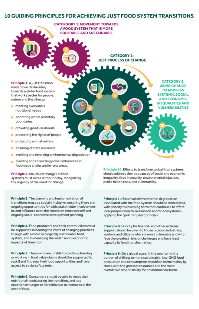 Principles for Just Food System Transitions: Envisioning a more ...